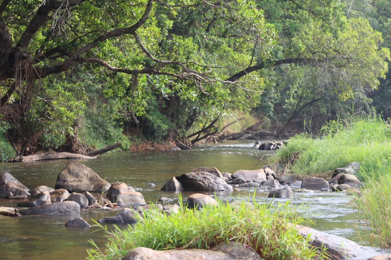 Lions Rock Rapids - Lodge Hazyview Luaran gambar