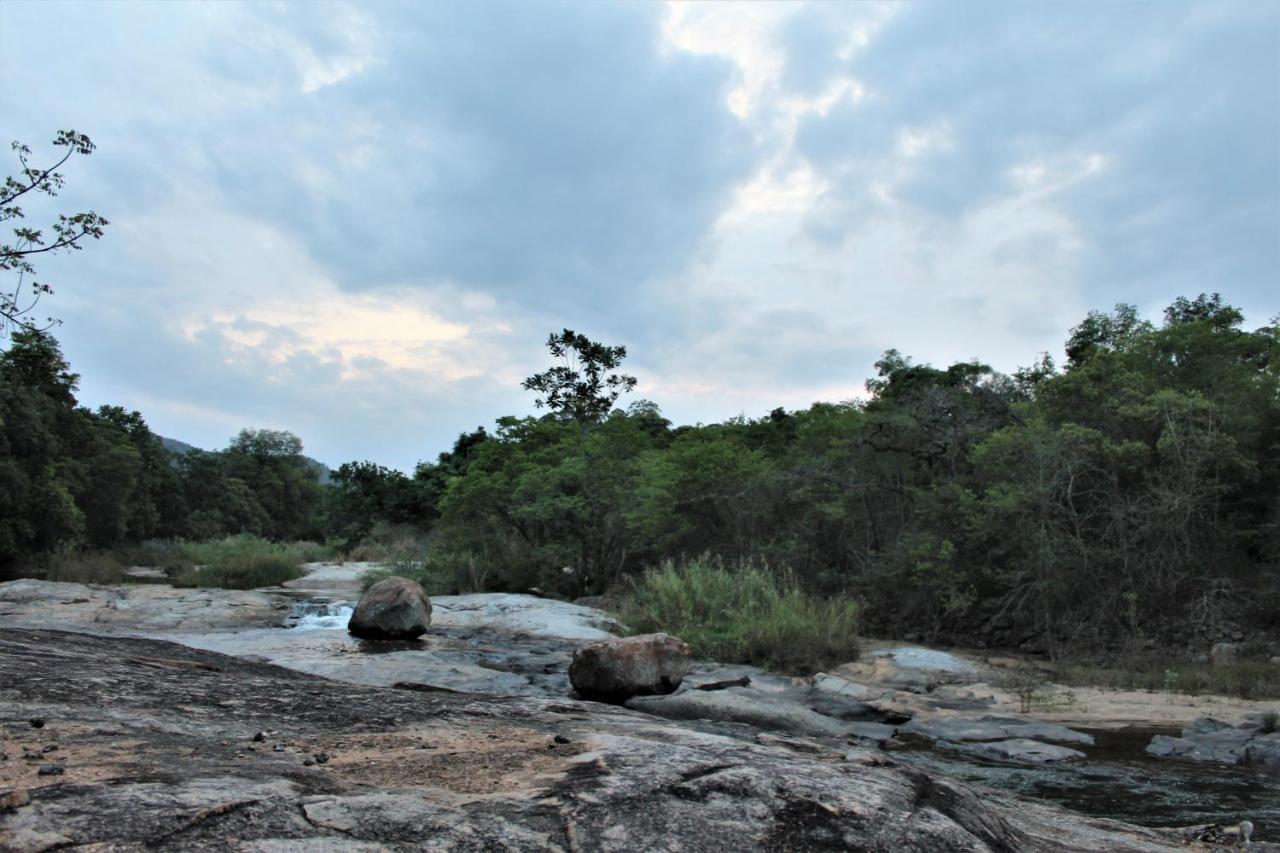 Lions Rock Rapids - Lodge Hazyview Luaran gambar