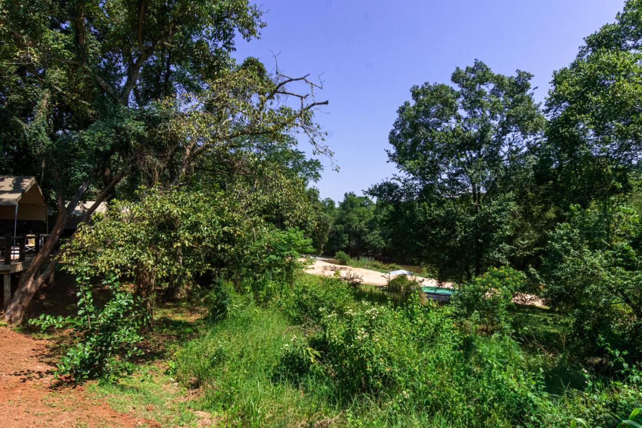 Lions Rock Rapids - Lodge Hazyview Luaran gambar